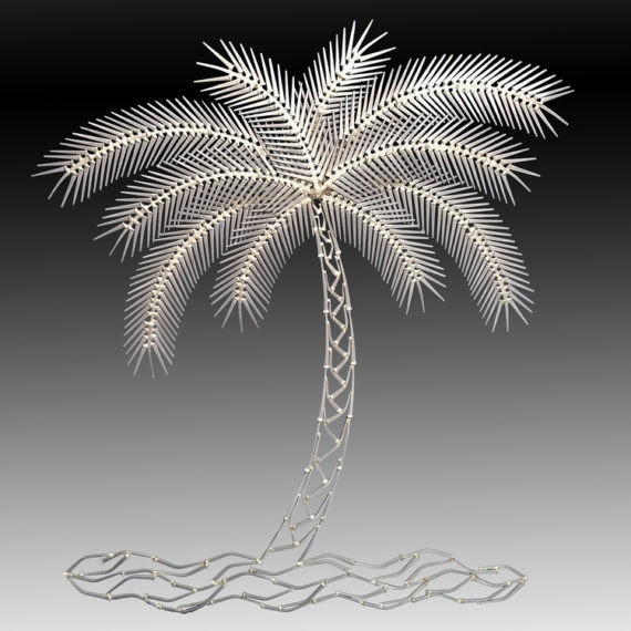 Schmidt Palm Tree on a Beach