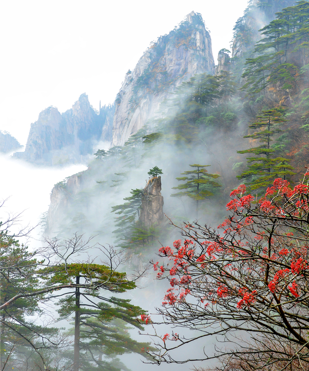 Sunny Liang Morning Mist in Mt. Huang E. China