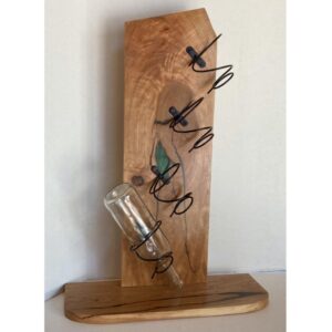 John Lipe Carbondale IL